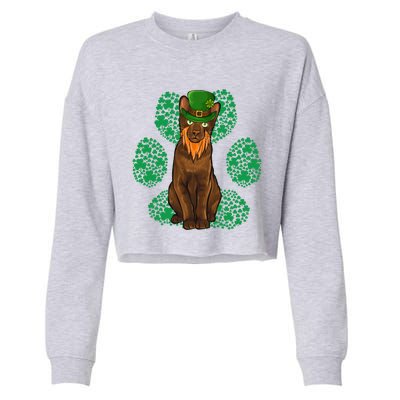 Leprechaun Havana Brown St Patricks Day Shamrock Paw Gift Cropped Pullover Crew