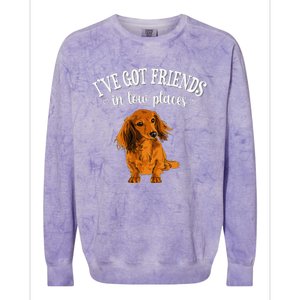 Long Haired Dachshund funny animal lovers Colorblast Crewneck Sweatshirt