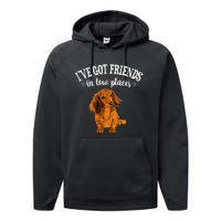 Long Haired Dachshund funny animal lovers Performance Fleece Hoodie