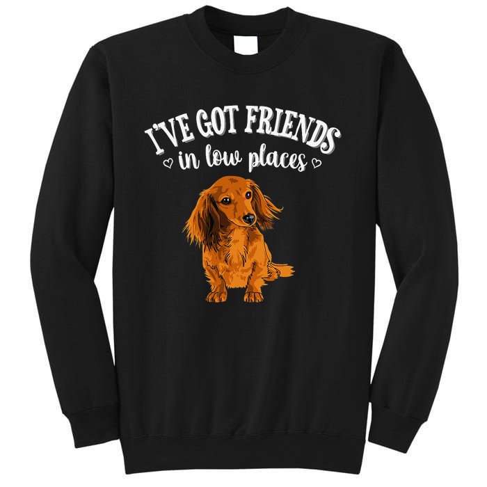 Long Haired Dachshund funny animal lovers Sweatshirt