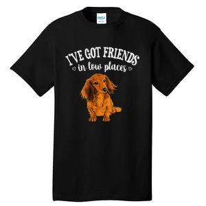 Long Haired Dachshund funny animal lovers Tall T-Shirt