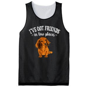 Long Haired Dachshund funny animal lovers Mesh Reversible Basketball Jersey Tank