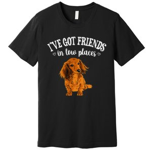 Long Haired Dachshund funny animal lovers Premium T-Shirt