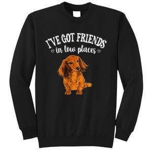 Long Haired Dachshund funny animal lovers Tall Sweatshirt