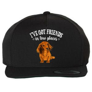 Long Haired Dachshund funny animal lovers Wool Snapback Cap