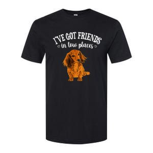 Long Haired Dachshund funny animal lovers Softstyle CVC T-Shirt