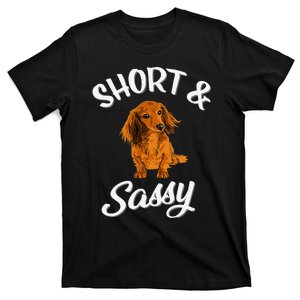 Long Haired Dachshund funny animal lovers T-Shirt