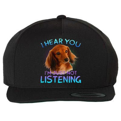 Long Haired Dachshunds I Hear You Not Listening Wool Snapback Cap