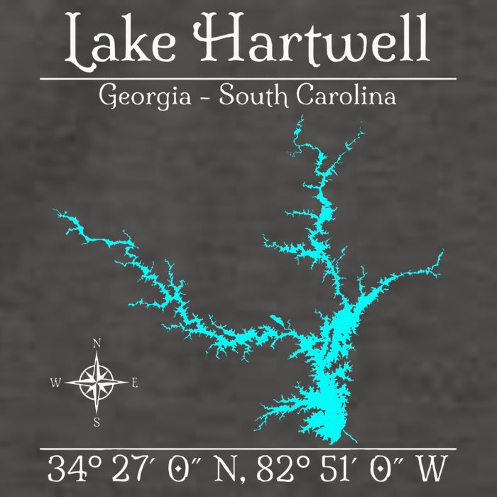 Lake Hartwell Georgia South Carolina Vector Backpack