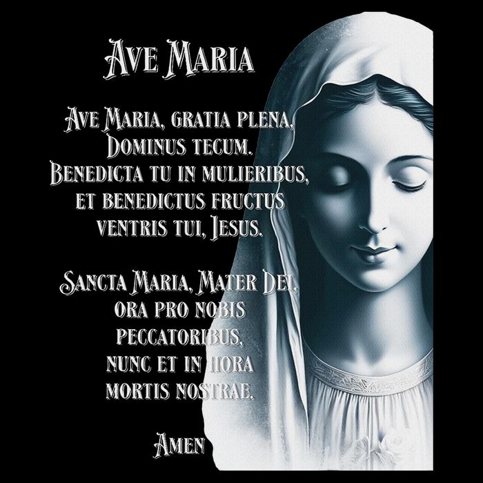 Latin Hail Mary Blessed Mother Rosary Prayer 16 in Basic Backpack