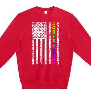 Lgbt Hu Rights Gift Premium Crewneck Sweatshirt