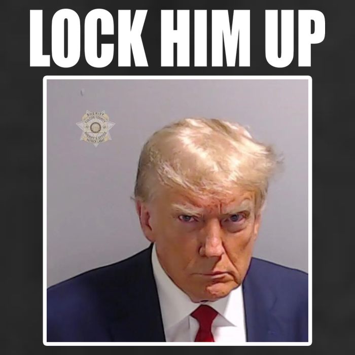 Lock Him Up Donald Trump Mugshot Garment-Dyed Heavyweight T-Shirt