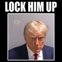 Lock Him Up Donald Trump Mugshot T-Shirt