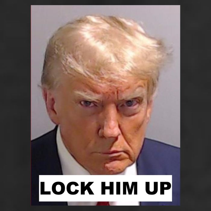 Lock Him Up Donald Trump Mugshot Jail 7 Panel Mesh Trucker Snapback Hat