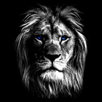 Lion Head With Blue Eyes For Lovers Lions King Of Animals Impact Tech Backpack