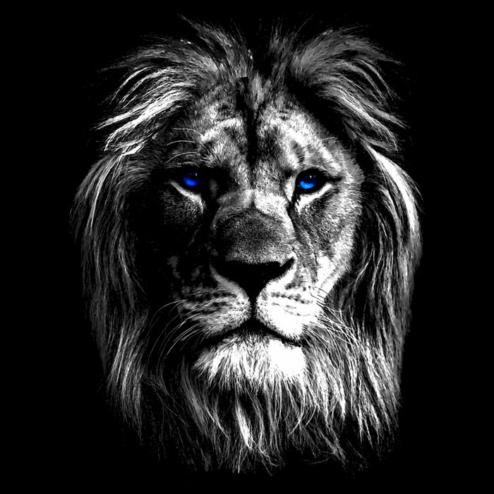 Lion Head With Blue Eyes For Lovers Lions King Of Animals Impact Tech Backpack