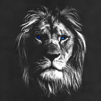Lion Head With Blue Eyes For Lovers Lions King Of Animals 11oz C Handle Ceramic Mug