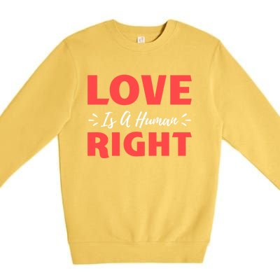 Love Is A Hu Right Gift Premium Crewneck Sweatshirt