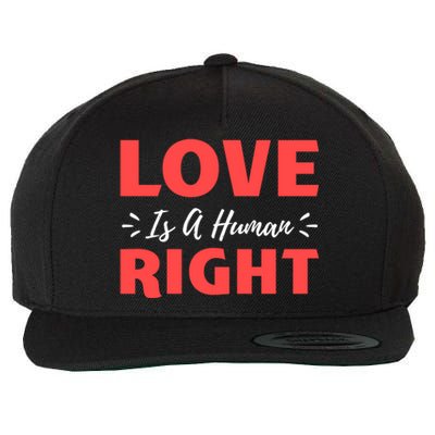 Love Is A Hu Right Gift Wool Snapback Cap