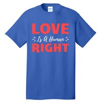 Love Is A Hu Right Gift Tall T-Shirt