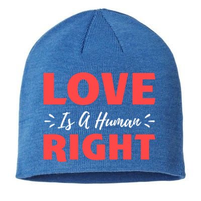 Love Is A Hu Right Gift Sustainable Beanie