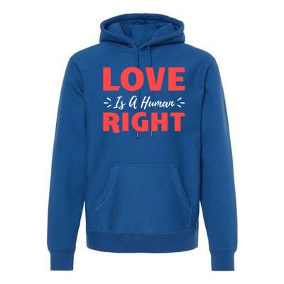 Love Is A Hu Right Gift Premium Hoodie