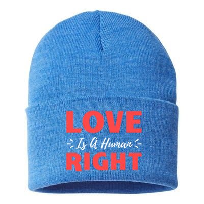 Love Is A Hu Right Gift Sustainable Knit Beanie