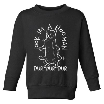 Look Im A Hooman Dur Dur Dur Toddler Sweatshirt