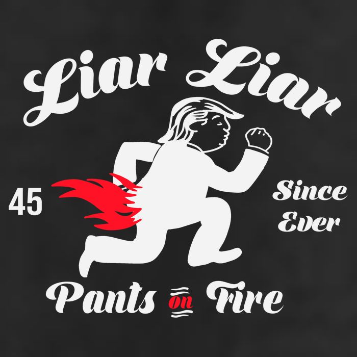 Liar Liar Pants On Fire Anti Trump 7 Panel Mesh Trucker Snapback Hat