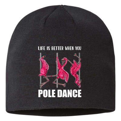 Life Is Better When You Pole Dance Funny Pole Dancing Flamingo Sustainable Beanie