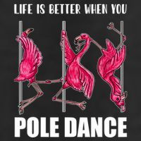Life Is Better When You Pole Dance Funny Pole Dancing Flamingo Trucker Hat