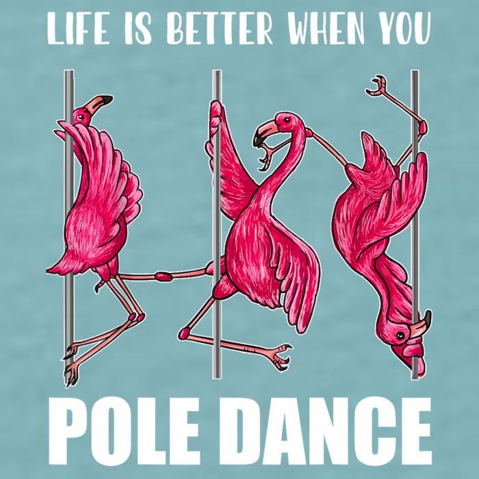 Life Is Better When You Pole Dance Funny Pole Dancing Flamingo Sueded Cloud Jersey T-Shirt