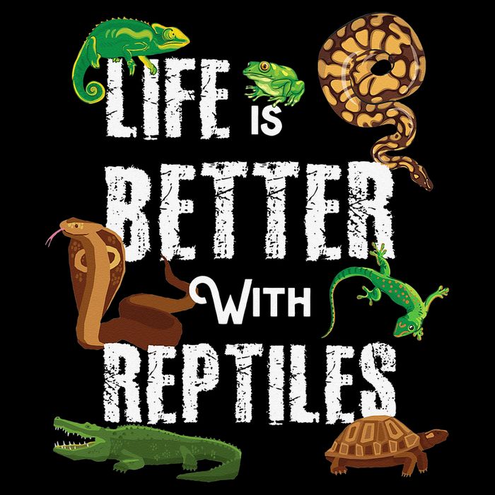 Life Is Better With Reptiles Lizard Reptile Pet Lover Mousepad