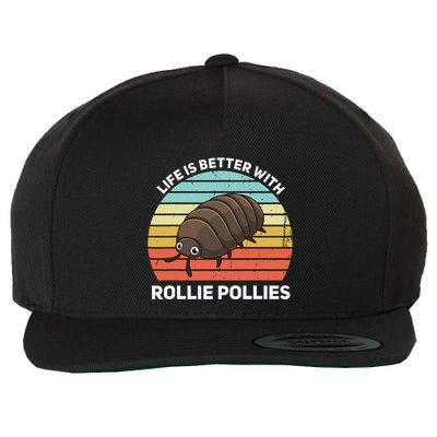 Life Is Better With Rollie Pollies Funny Entomologist Wool Snapback Cap