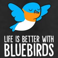 Life Is Better With Bluebirds Premium Hat