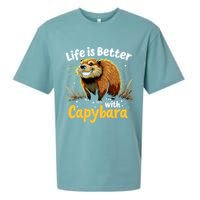 Life Is Better With Capybara Sueded Cloud Jersey T-Shirt