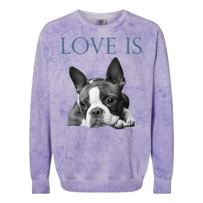 Love Is Boston Terrier Bostie Colorblast Crewneck Sweatshirt