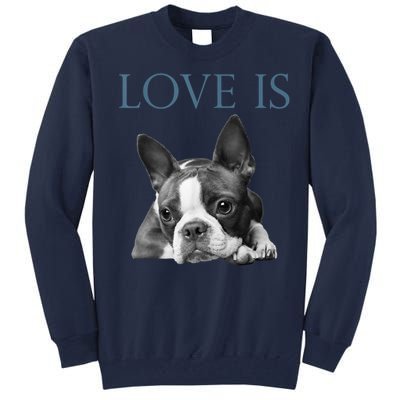 Love Is Boston Terrier Bostie Tall Sweatshirt