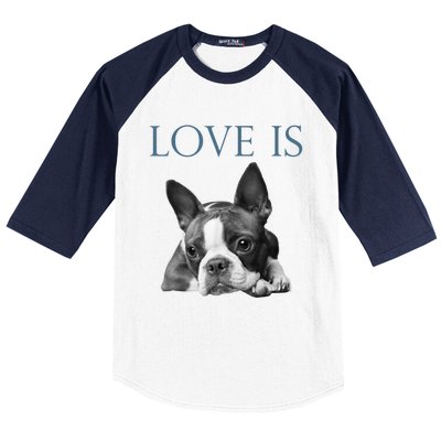 Love Is Boston Terrier Bostie Baseball Sleeve Shirt