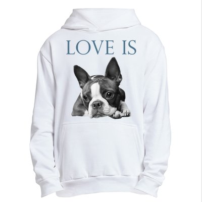 Love Is Boston Terrier Bostie Urban Pullover Hoodie