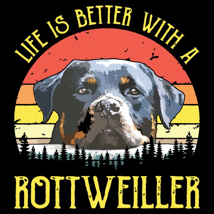 Life Is Better With A Rottweiler Dog Lover Gift Wool Snapback Cap