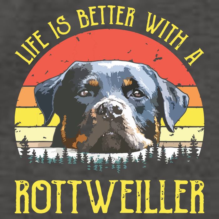 Life Is Better With A Rottweiler Dog Lover Gift Womens T-Shirt