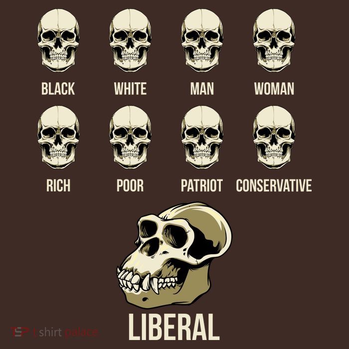 Liberal Monkey Black White Man Woman Rich Poor Patriot Conservative Poster