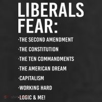 Liberals Fear Conservative Republican 11oz C Handle Ceramic Mug