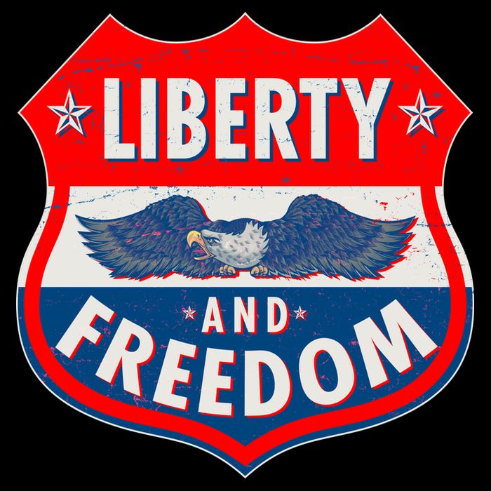 Liberty And Freedom US Eagle Road Sign Impact Tech Backpack