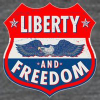 Liberty And Freedom US Eagle Road Sign Toddler T-Shirt