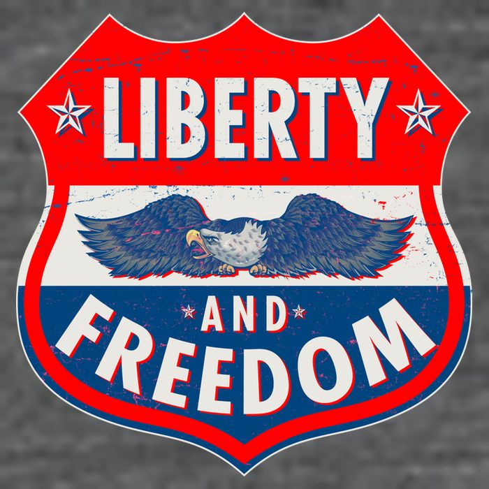 Liberty And Freedom US Eagle Road Sign Toddler T-Shirt