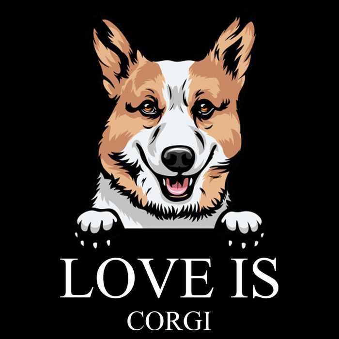 Love Is Corgi Dog Sweatshirt