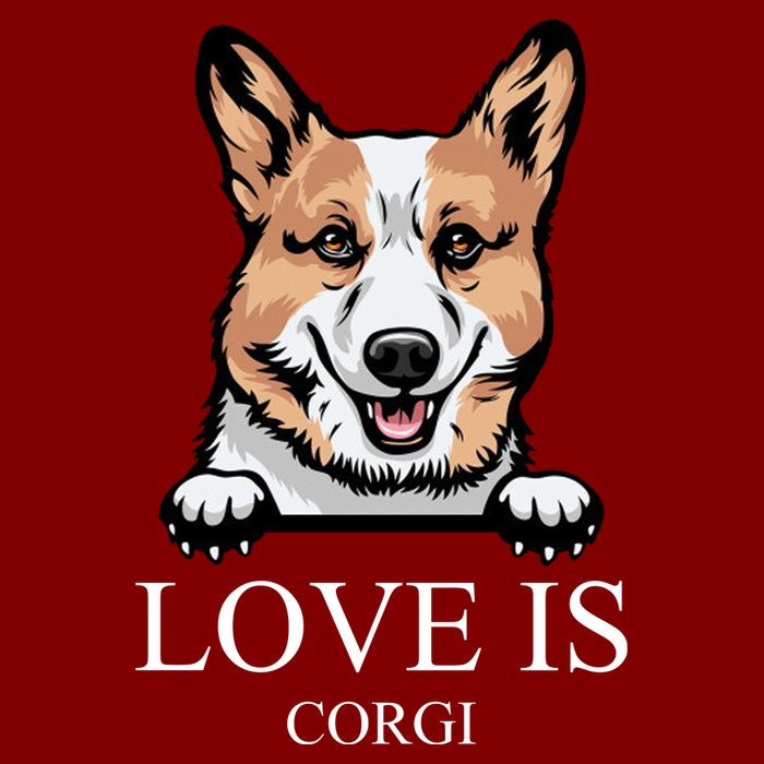 Love Is Corgi Dog Apron