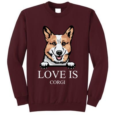 Love Is Corgi Dog Tall Sweatshirt